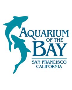 Aquarium of the Bay San Francisco
