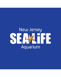 Sea Life Aquarium, NJ