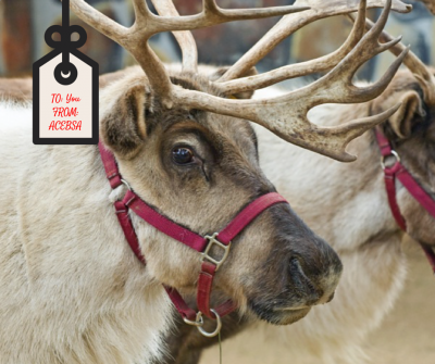 ACEBSA's 2015 Holiday Gift Guide