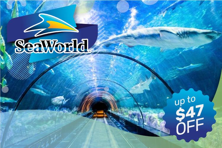 SeaWorld