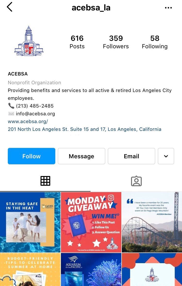 ACEBSA Instagram Profile