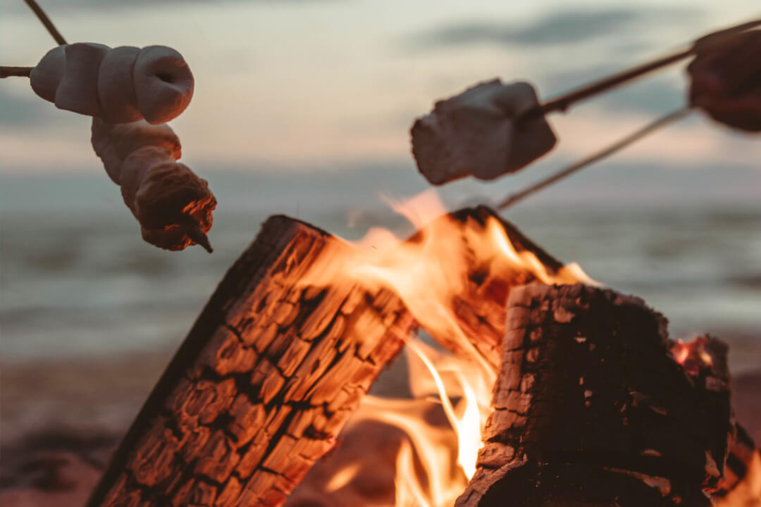 Toasting marshmallows over bonfire